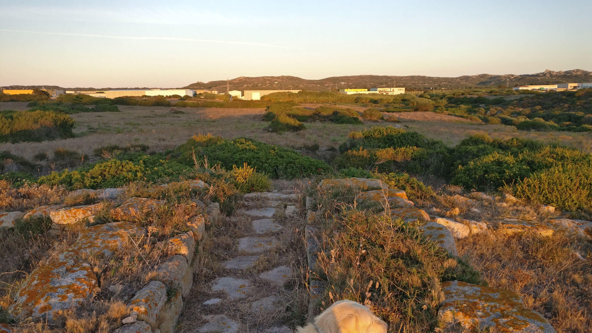 Tomba dei Giganti di La Testa