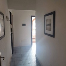 Ingresso