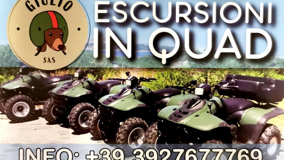 Escursioni in Quad